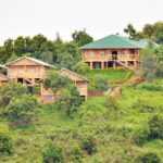 Gorilla Safari Lodge