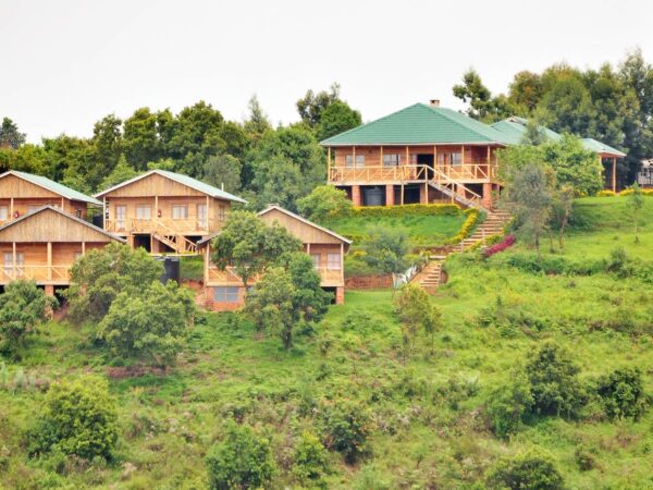 Gorilla Safari Lodge