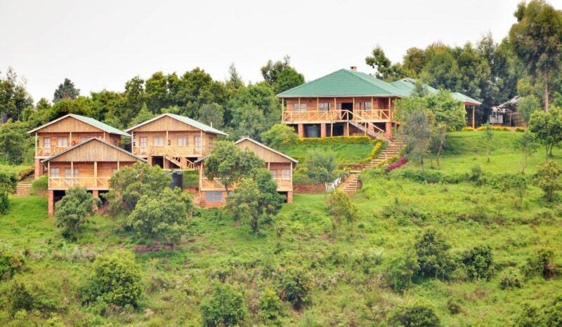 Gorilla Safari Lodge