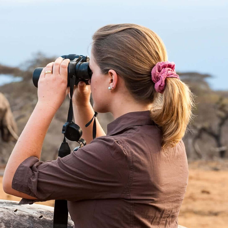 Tanzania Wildlife Safari Experience