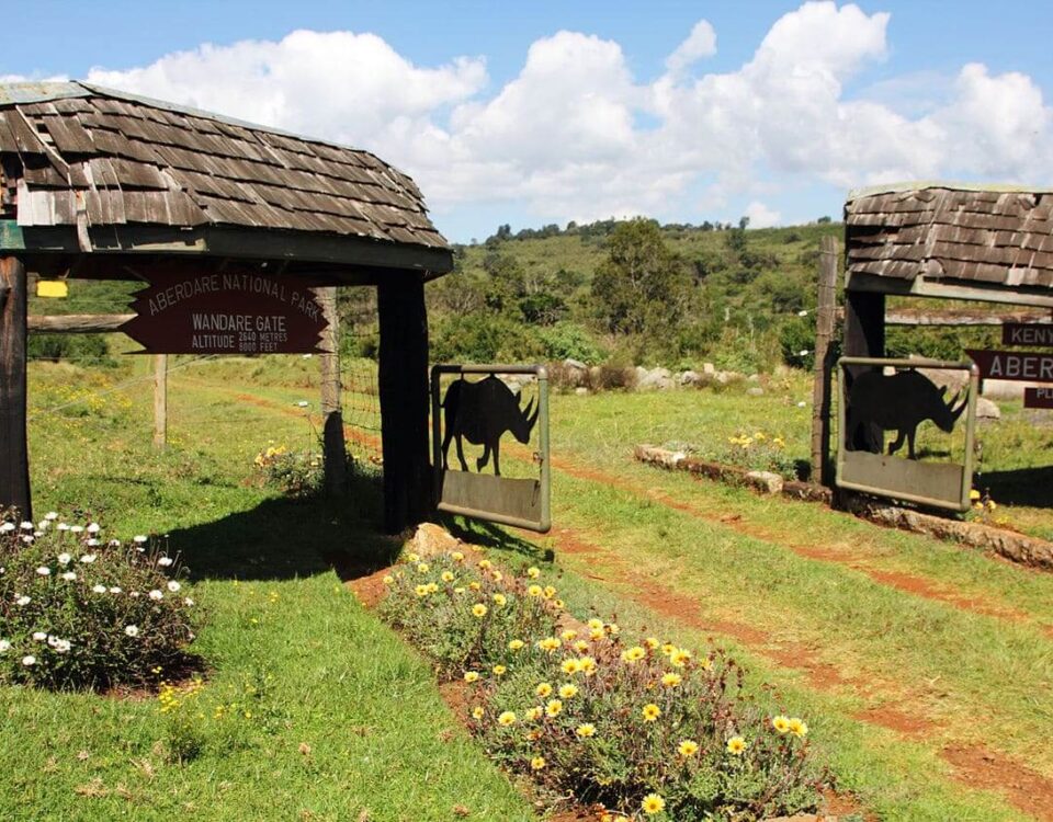 Aberdare National Park