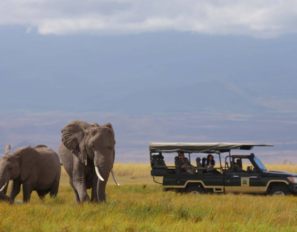 Amboseli National Park