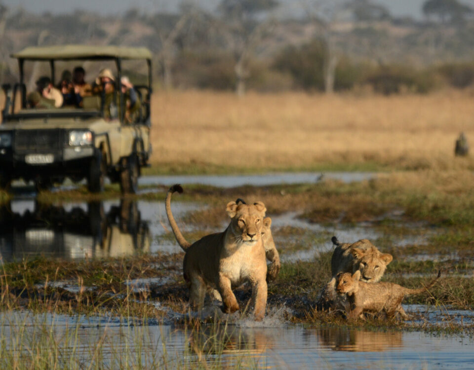 Chobe National Park