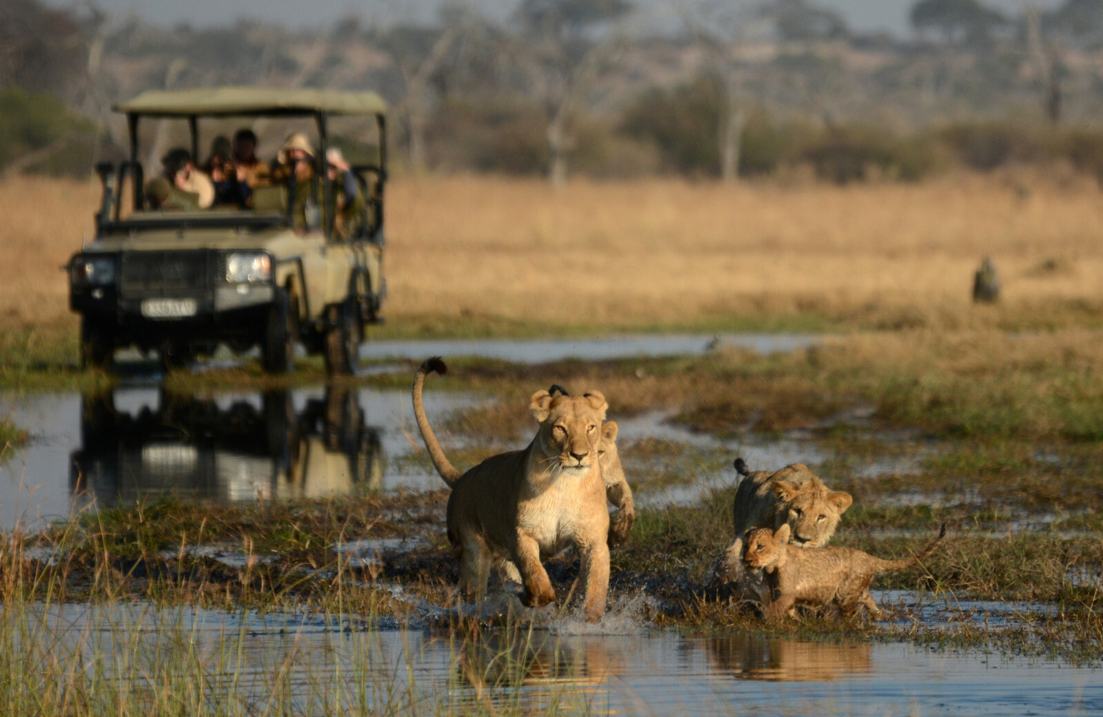 Chobe National Park