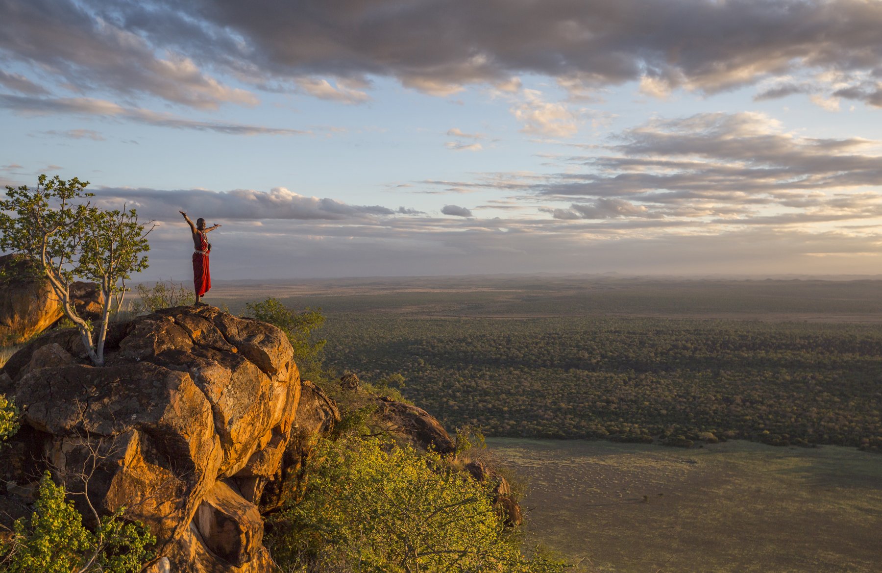 Kenya Wildlife Safari Experience