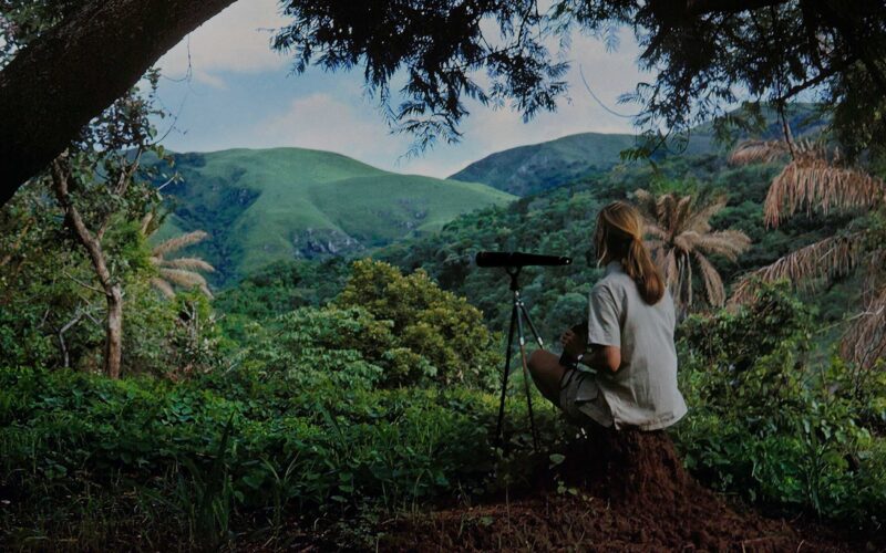 Gombe Stream National Park