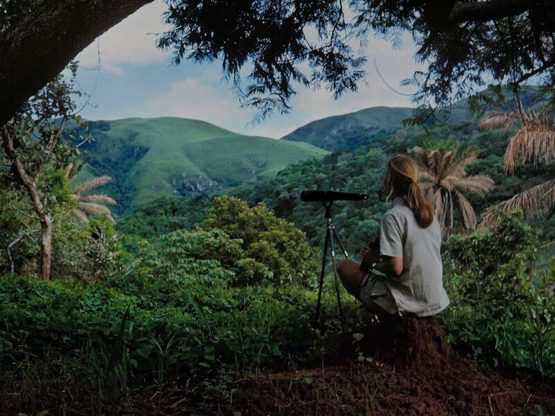 Gombe Stream National Park