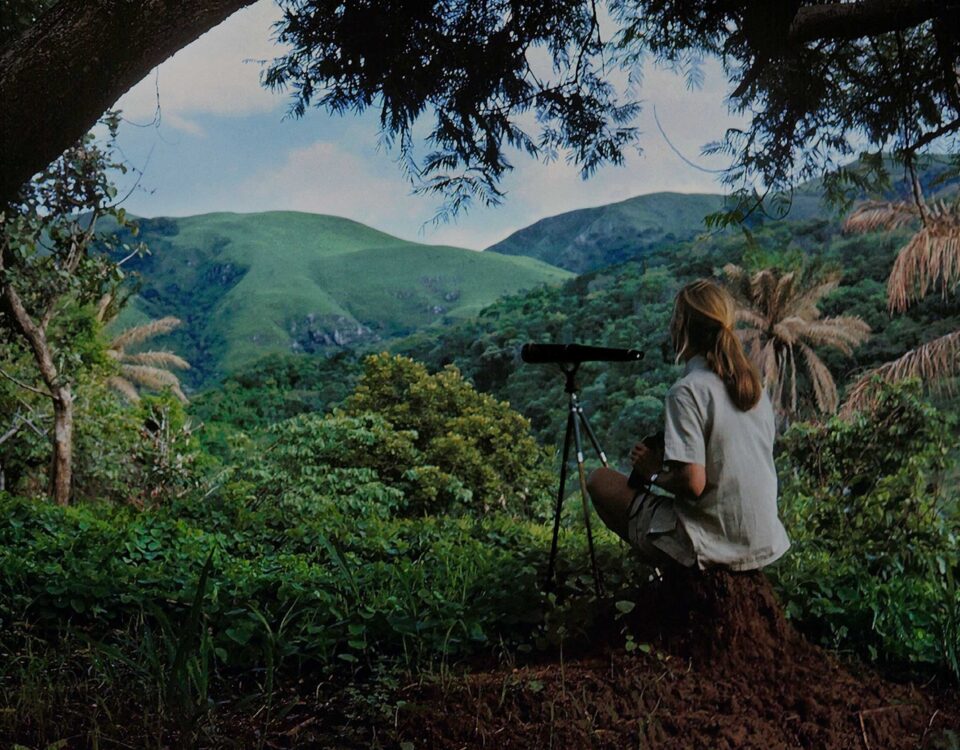 Gombe Stream National Park