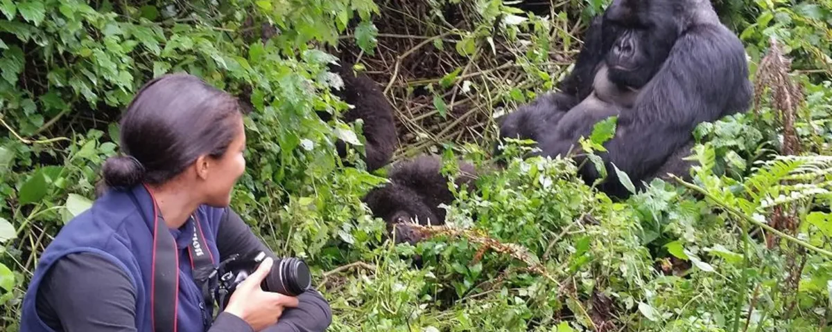 Gorilla Trekking Safari from Masai Mara