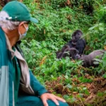 Gorilla Trekking from Chobe