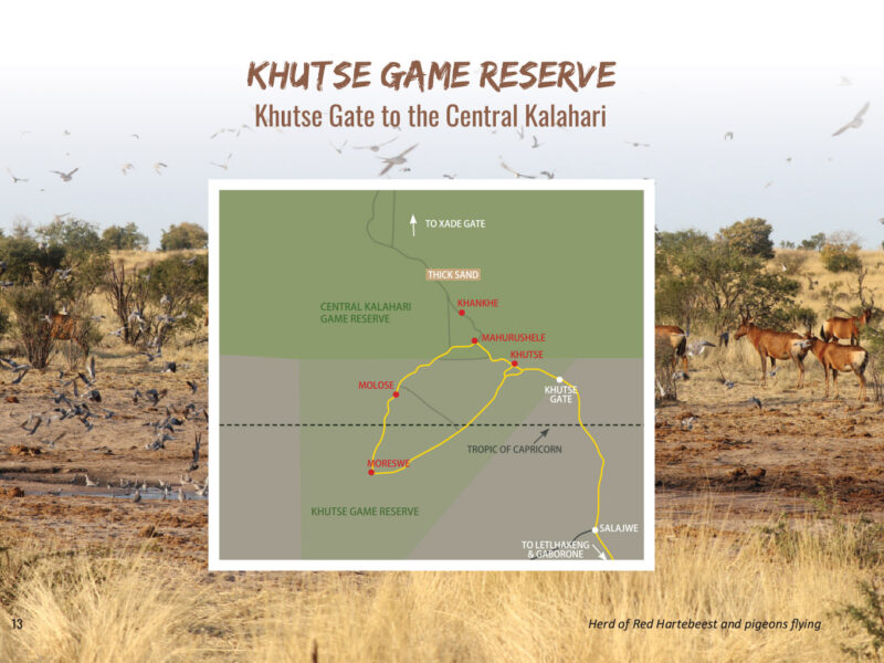 Khutse Game Reserve