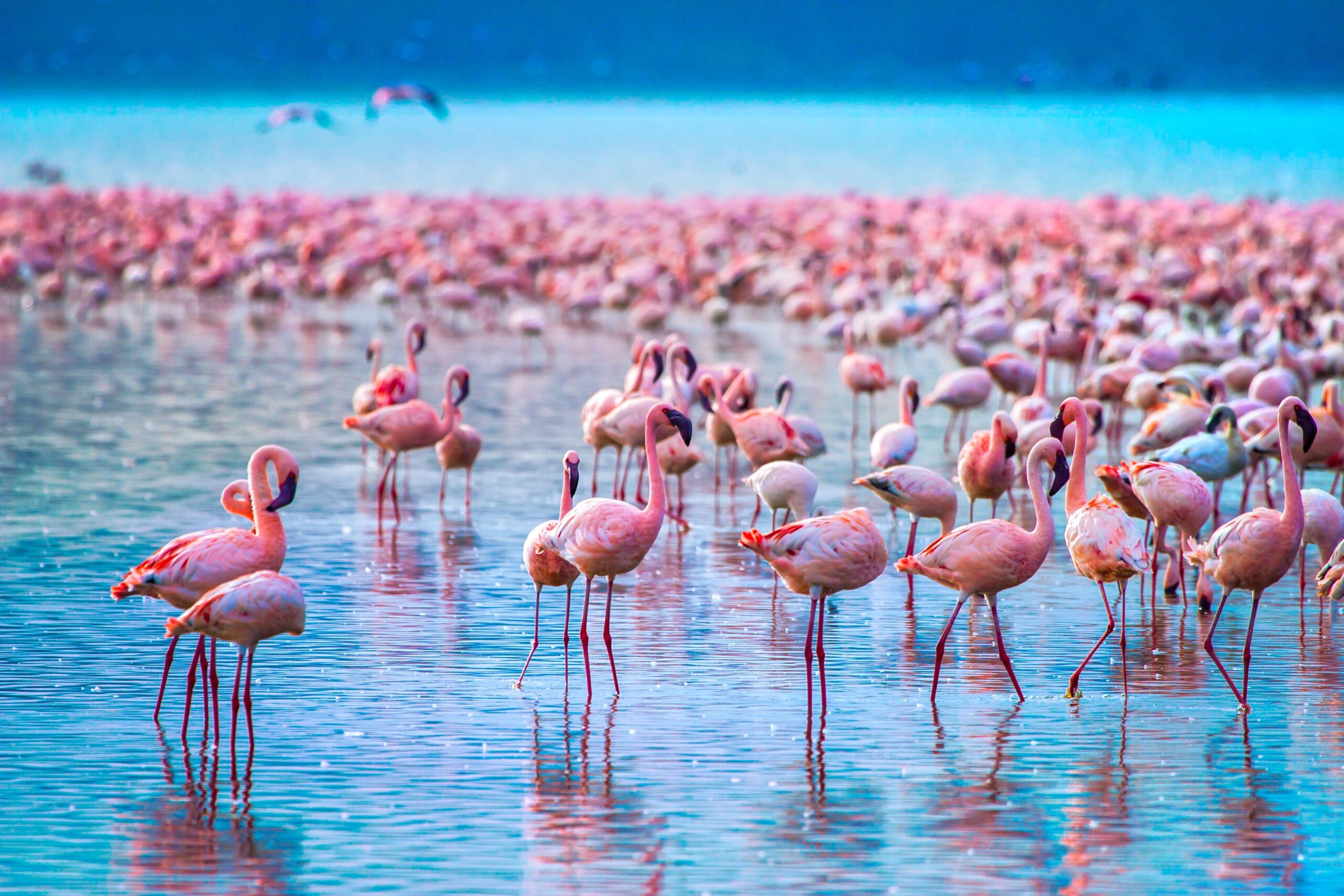 Lake Nakuru National Park