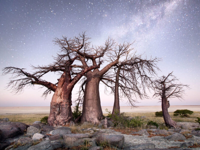 Makgadikgadi Pans