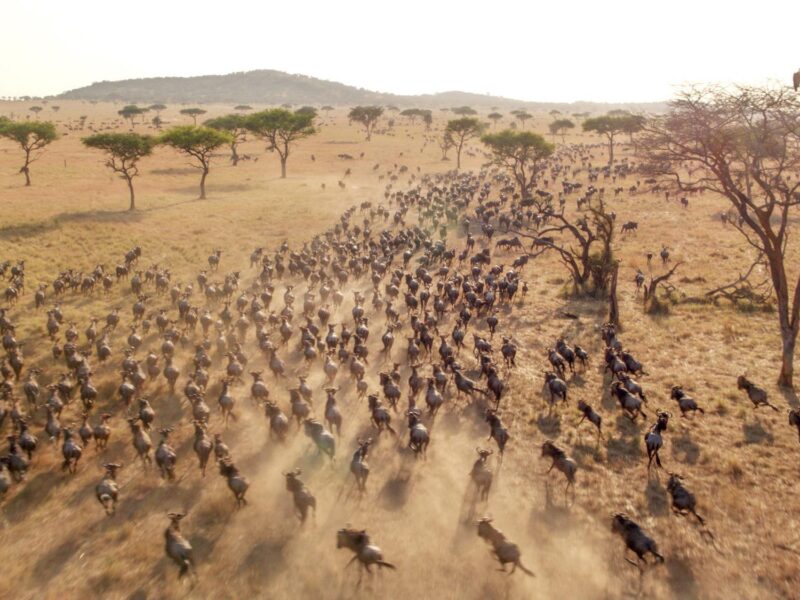 Masai Mara National Reserve