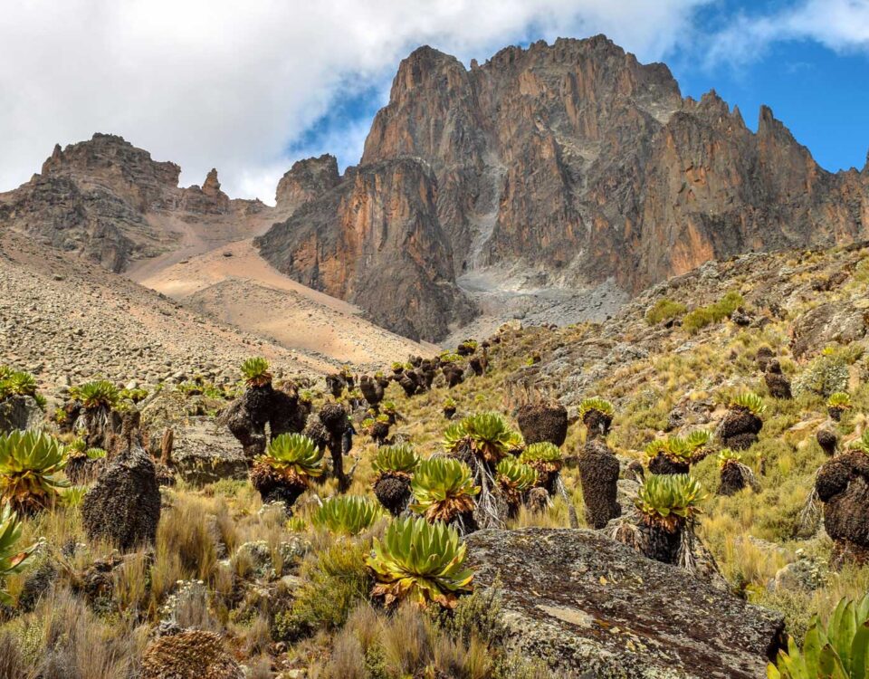 Kenya Mountain Hiking Experience