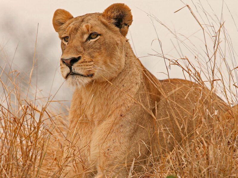 Mount Meru National Park