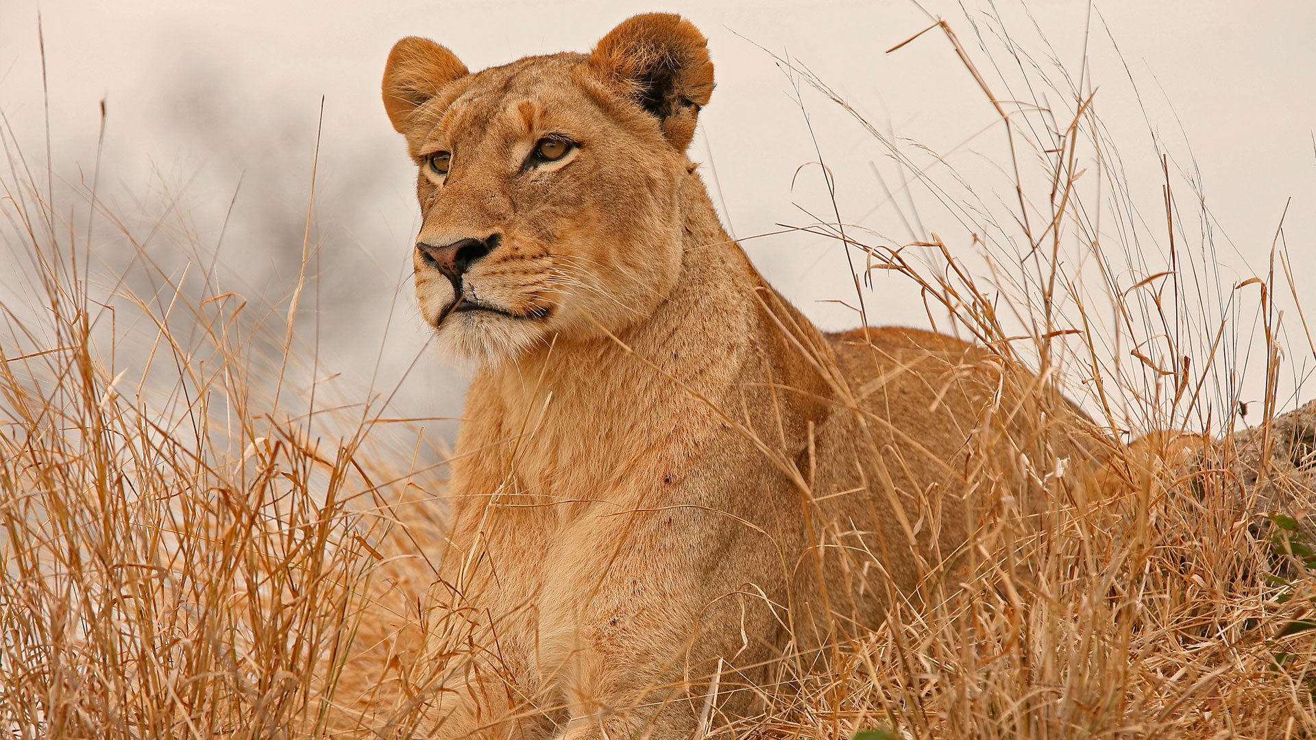 Mount Meru National Park