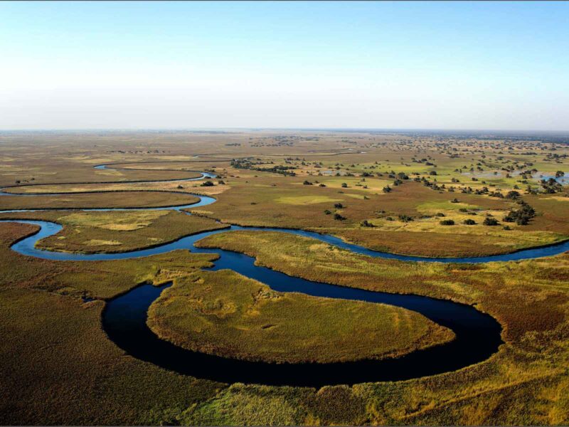 Botswana Wildlife Safari Experience