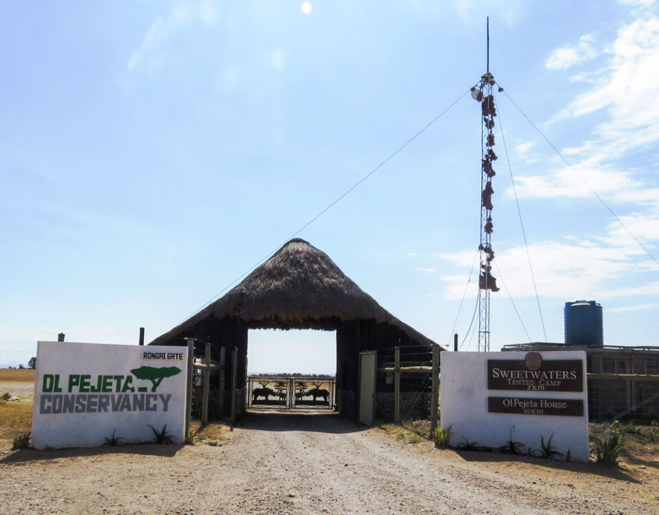 Ol Pejeta Conservancy