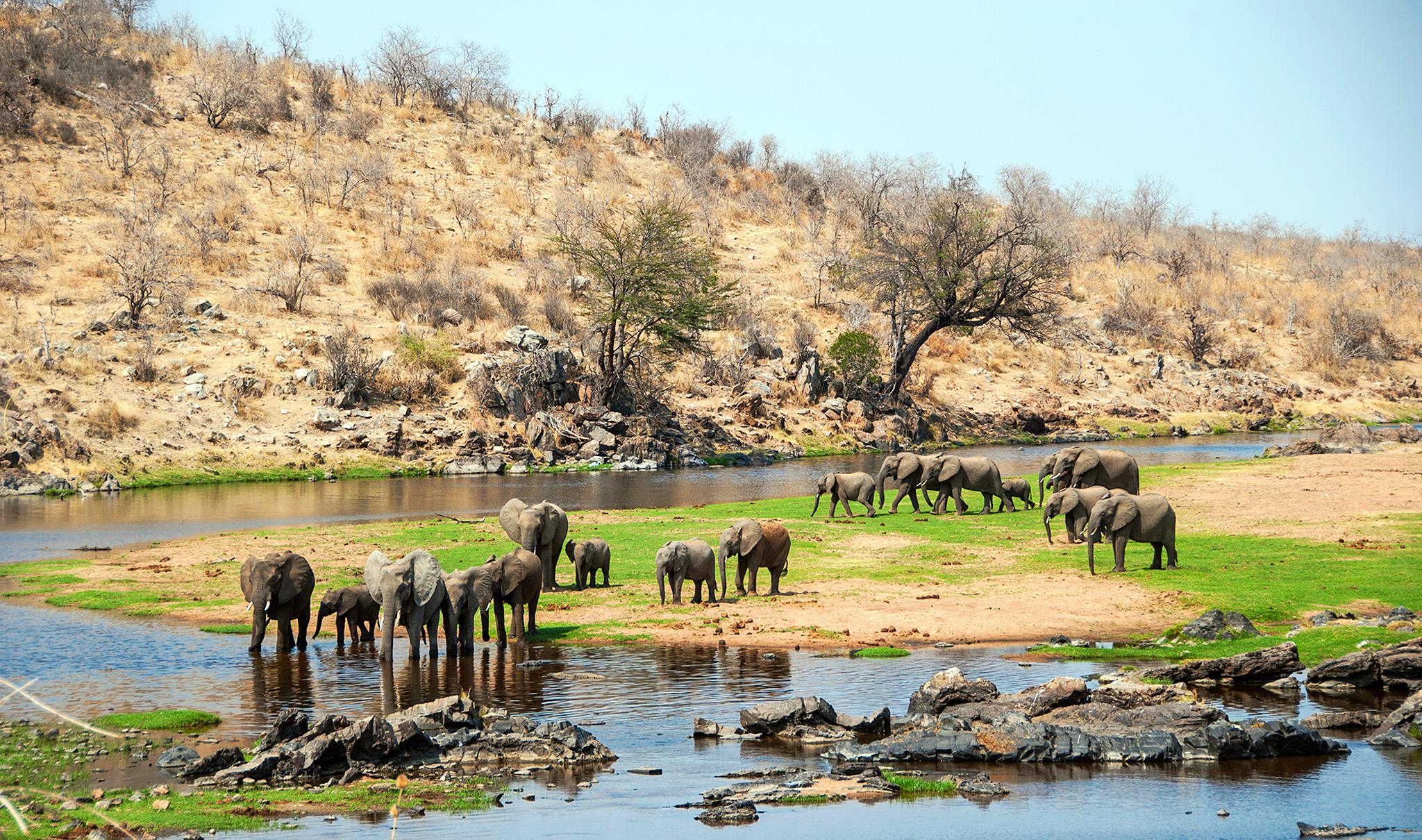 Tanzania Wildlife Safari Experience