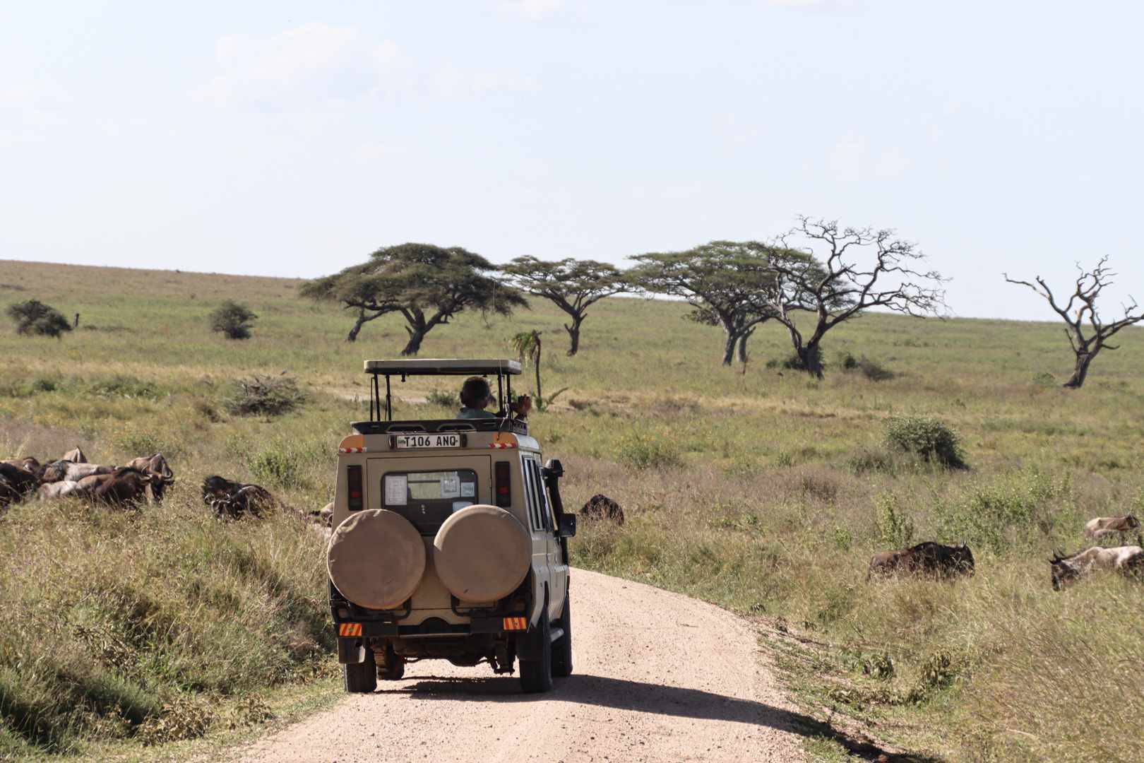 Tanzania Big5 Safari Experience