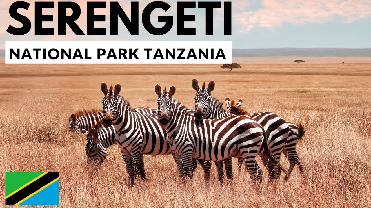 Tanzania Big5 Safari Experience