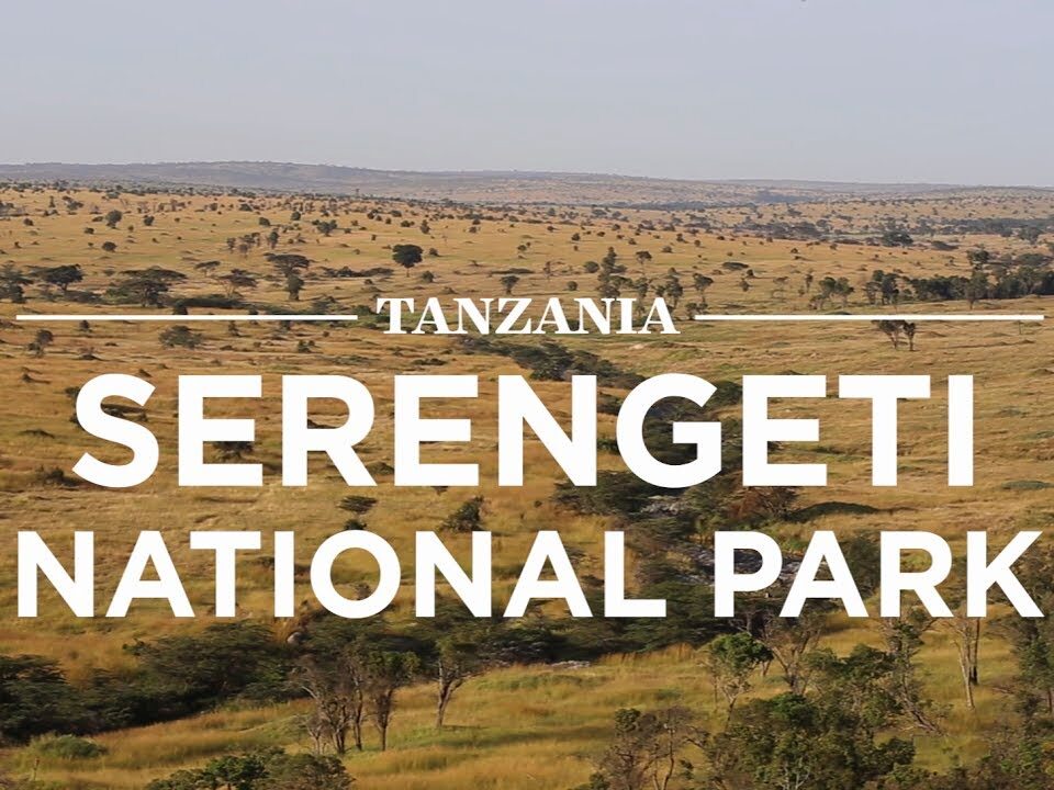 Tanzania Big5 Safari Experience