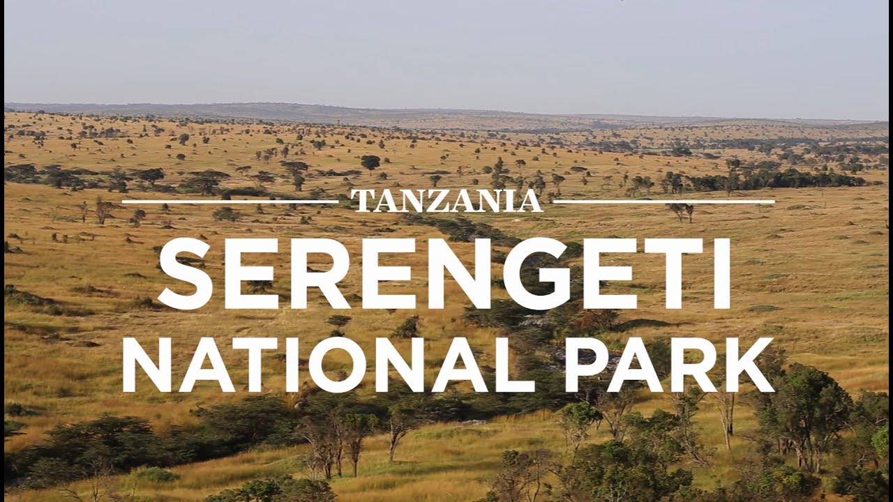 Tanzania Big5 Safari Experience