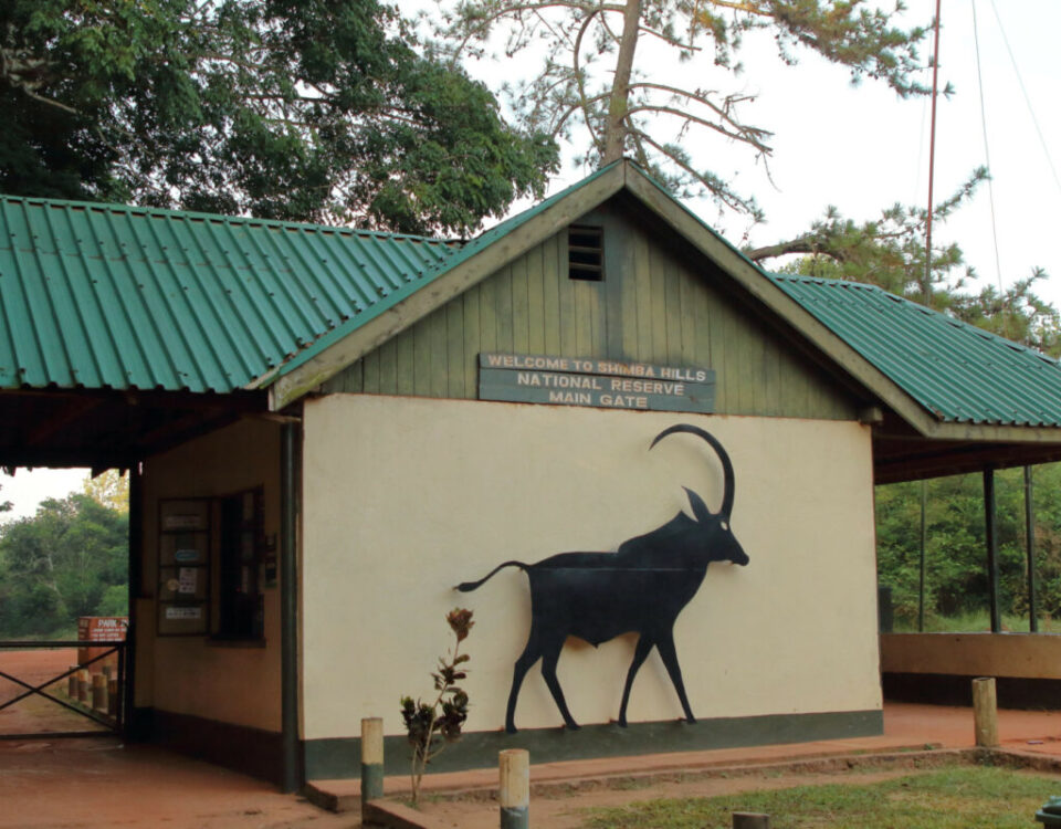 Shimba Hills National Reserve