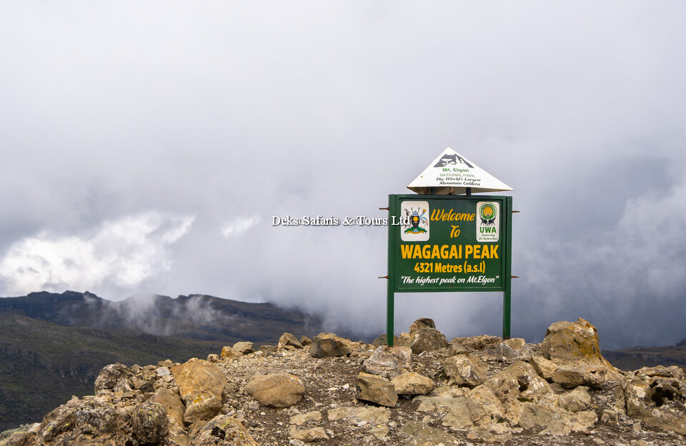 Mount Elgon National Park