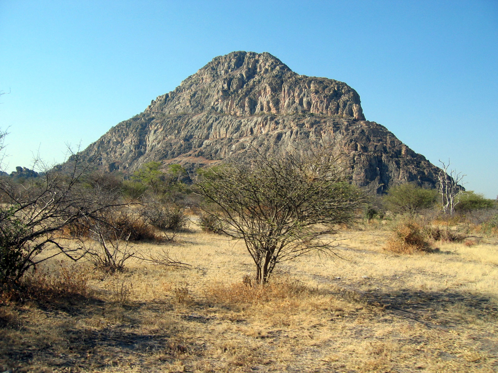 Botswana Wildlife Safari Experience