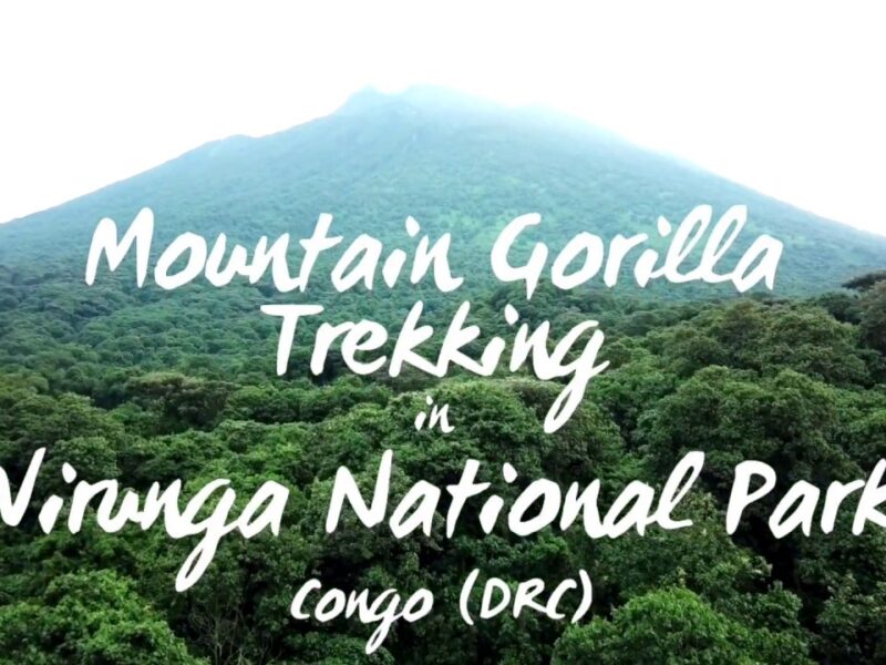 Virunga National Park