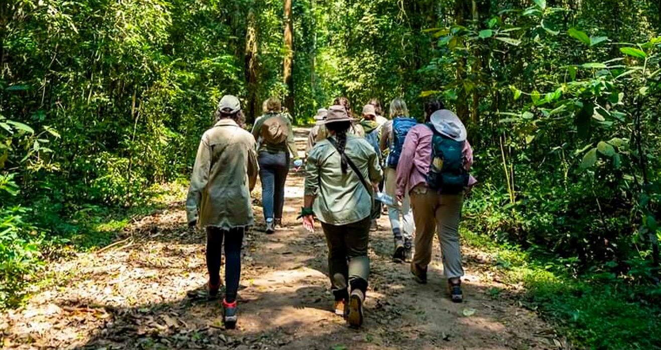 Uganda Gorilla Trekking Safari