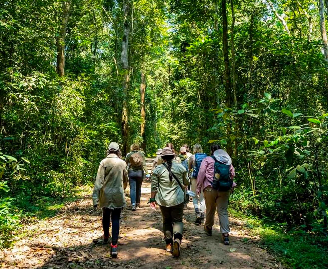 Rwanda Gorilla Trekking