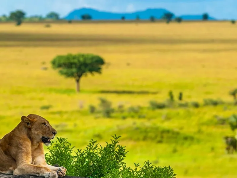 Kidepo Valley National Park