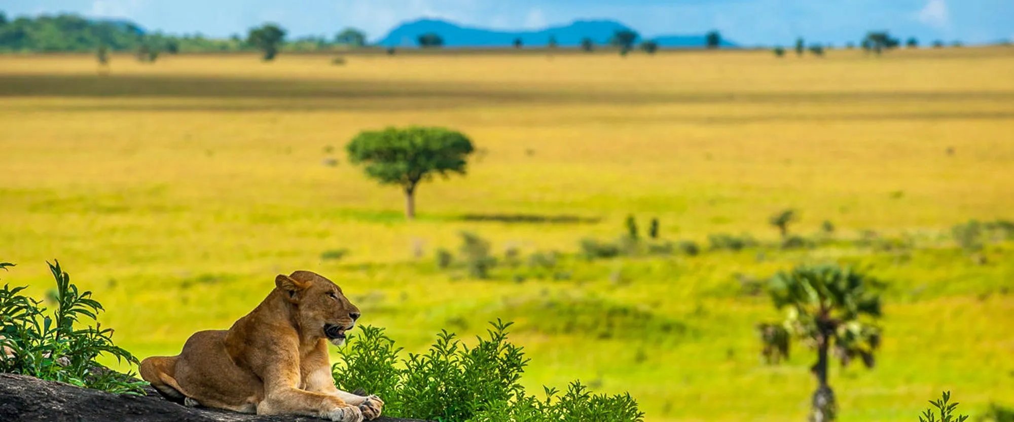 Kidepo Valley National Park