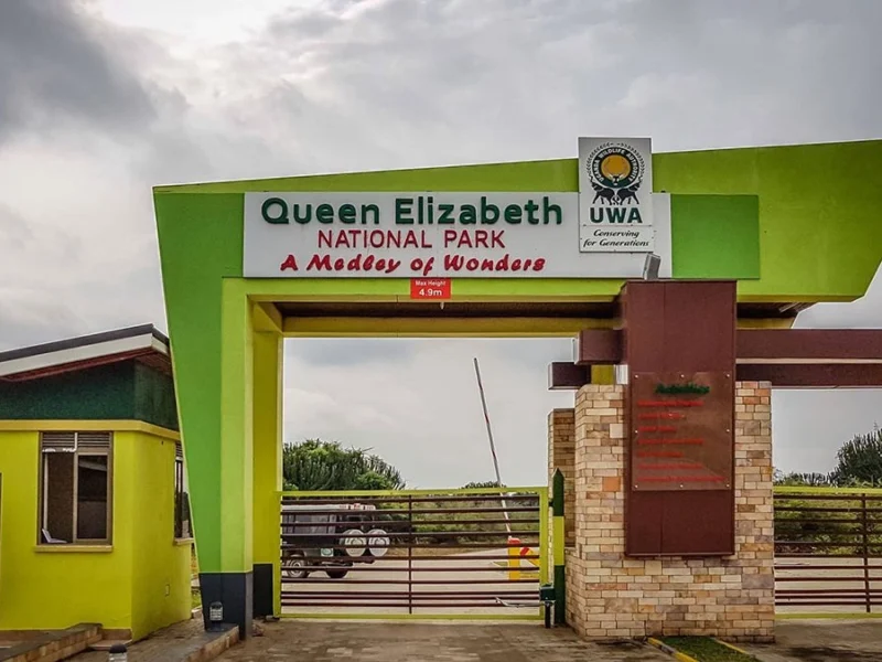 Queen Elizabeth Wildlife Safari