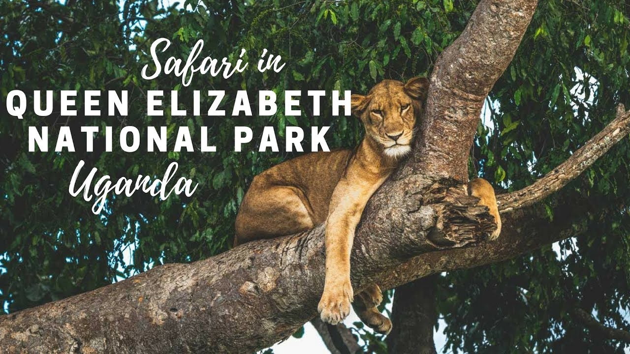 17-Day Uganda Safari Adventure