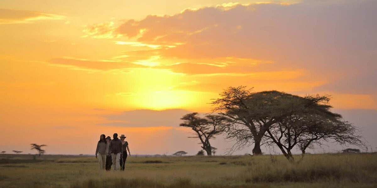 Best of East Africa Safari