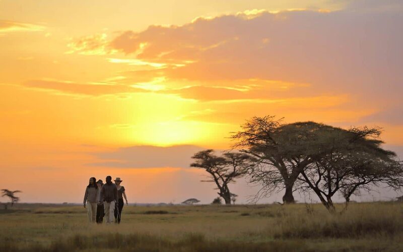 Best of East Africa Safari