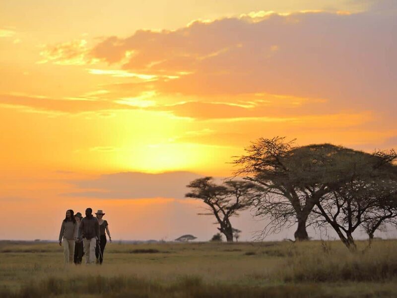 Best of East Africa Safari