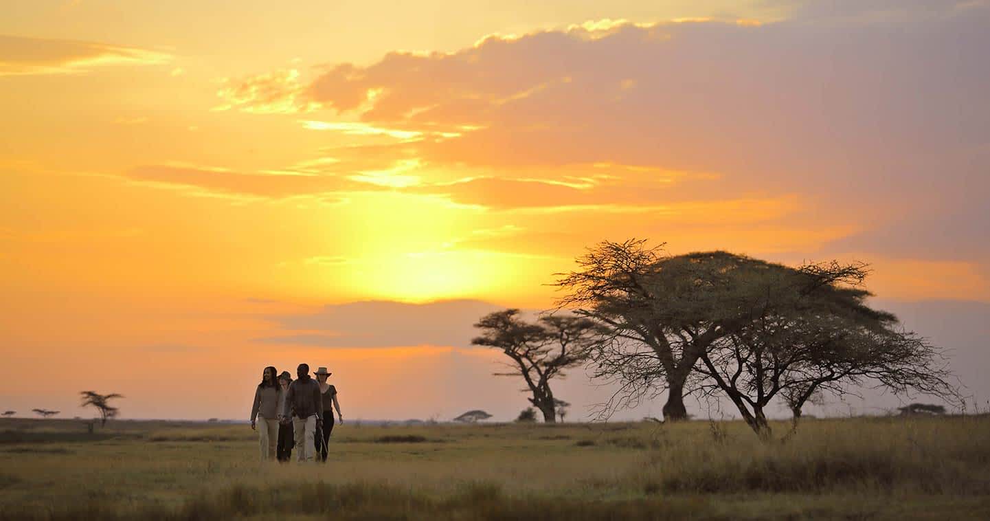 Best of East Africa Safari