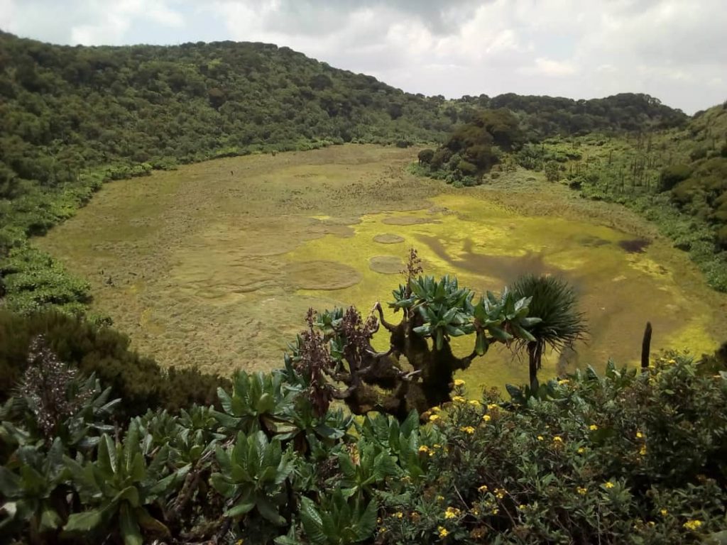 Gahinga Volcano Hiking Experience