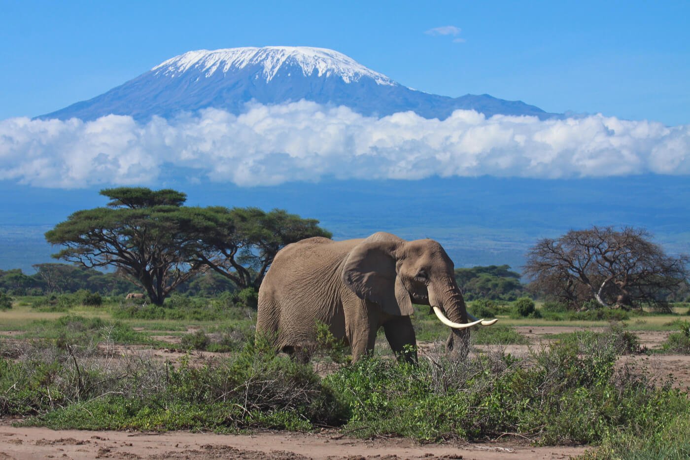 Tanzania Mountain Hiking Experience