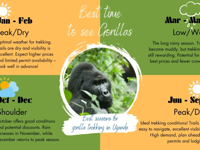 Do I Need a Permit for Gorilla Trekking