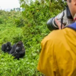 Bwindi Impenetrable National Park